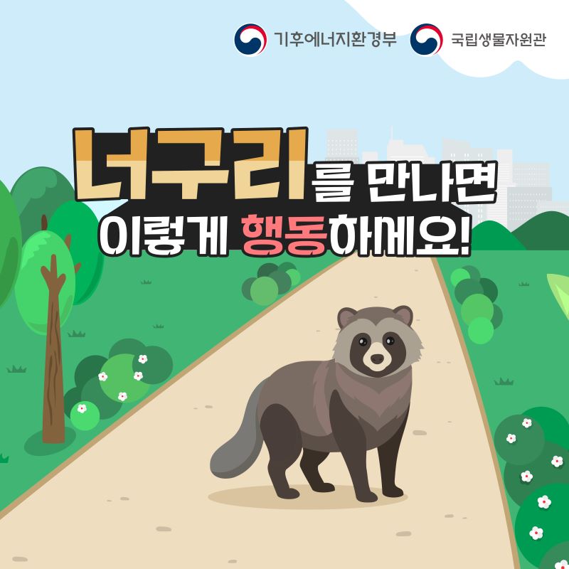 너구리를 만나면 이렇게 행동하세요
기후에너지환경부 국립생물자원관