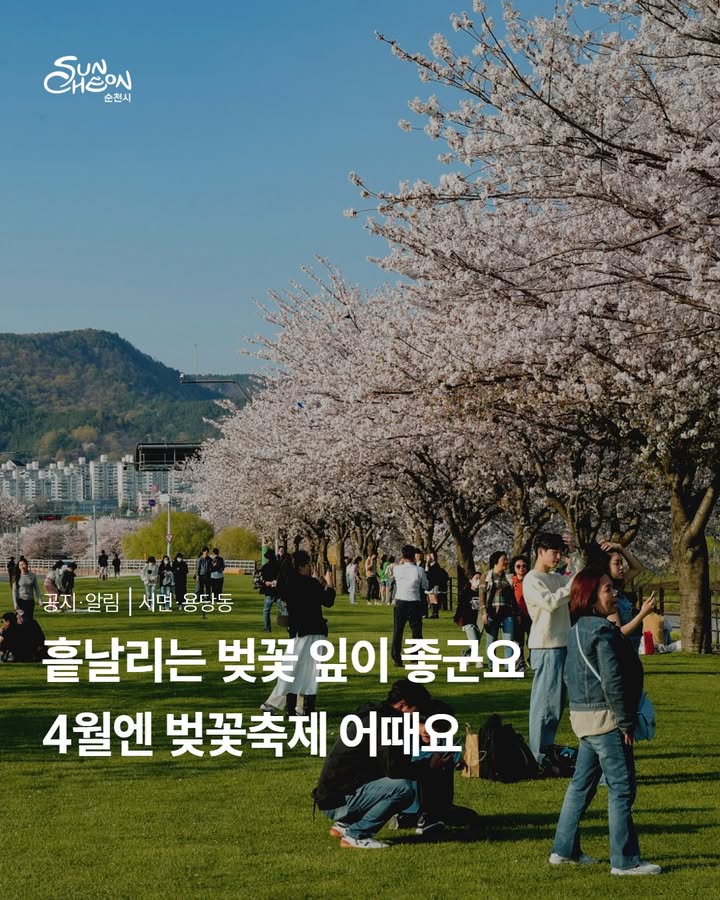 날이 따뜻해지면서

동천을 따라 벚꽃팝콘 이 

스멀스멀 피어오르고 있습니다

순천에서 봄바람 따라 걸으며

벚꽃과 함께 이 봄을 느껴보시는 건 어때요?

 

  제4회 서면 벚꽃축제

  일 시

2026. 4. 4.(토)⏰ 10:30 ~ 17:00
 * 개회식 11:30

 장 소

서천변 일원

(엑스포가구백화점 뒤 주무대)

 

  제12회 용당뚝방길 벚꽃축제

  일 시

 2026.  4.  4.(토) ⏰ 11:00 ~ 17:00

 * 개막식 13:30

​

  장 소

용당뚝방길 벚꽃축제장 일원
