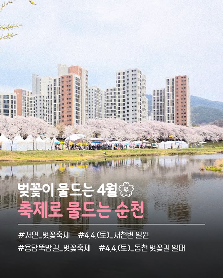 벚꽃이 물드는 4월, 축제로 물드는 순천 

따뜻한 봄바람과 함께
순천 곳곳이 벚꽃으로 물들었습니다  
올해도 아름다운 벚꽃과 함께 즐기는 축제가 찾아옵니다!

  제4회 서면벚꽃축제
  일시 : 2026. 4. 4.(토) 10:30~17:00
  장소 : 서천변 일원 (서면우체국~미래과학고)

  제12회 용당뚝방길 벚꽃축제
  일시 : 2026. 4. 4.(토) 11:00~17:00
  장소 : 동천 벚꽃길 일대 (용당동 705)

벚꽃 흩날리는 순천에서
눈부신 봄날의 추억을 만들어보세요  

#순천 #순천벚꽃 #벚꽃축제
#서면벚꽃축제 #용당뚝방길벚꽃축제
#봄축제 #순천가볼만한곳 #벚꽃명소 #전남벚꽃명소
