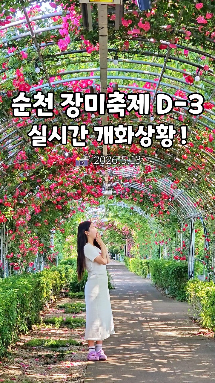 순천 도심속에서 즐기는 장미축제 !
3일 뒤 이번주 토요일에 개최된다고 해서
오늘 실시간 개화상황 보고 왔는데요 

진짜 너무 너무 이쁘게 만개 중입니다아 

따뜻한 5월, 향기+음악+감성+먹거리까지
한번에 즐길 수 있는 장미축제가 진행되니! 
꼭 방문해서 향기로운 하루 보내보세요❤ 

*순천시 제작지원

✅축제 정보
 2026 순천 LOVE ROSE FESTA 
제 5회 순천 풍덕동 장미축제

✅일시
▫ 2026.5.16(토)

✅장소
▫ 동천 장미터널 일대
*전라남도 순천시 풍덕동 946
*네비에 