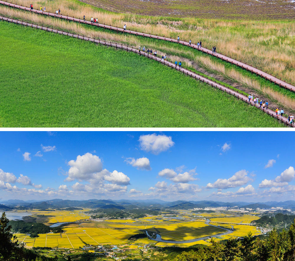 순천만의 아름다운 습지 풍경