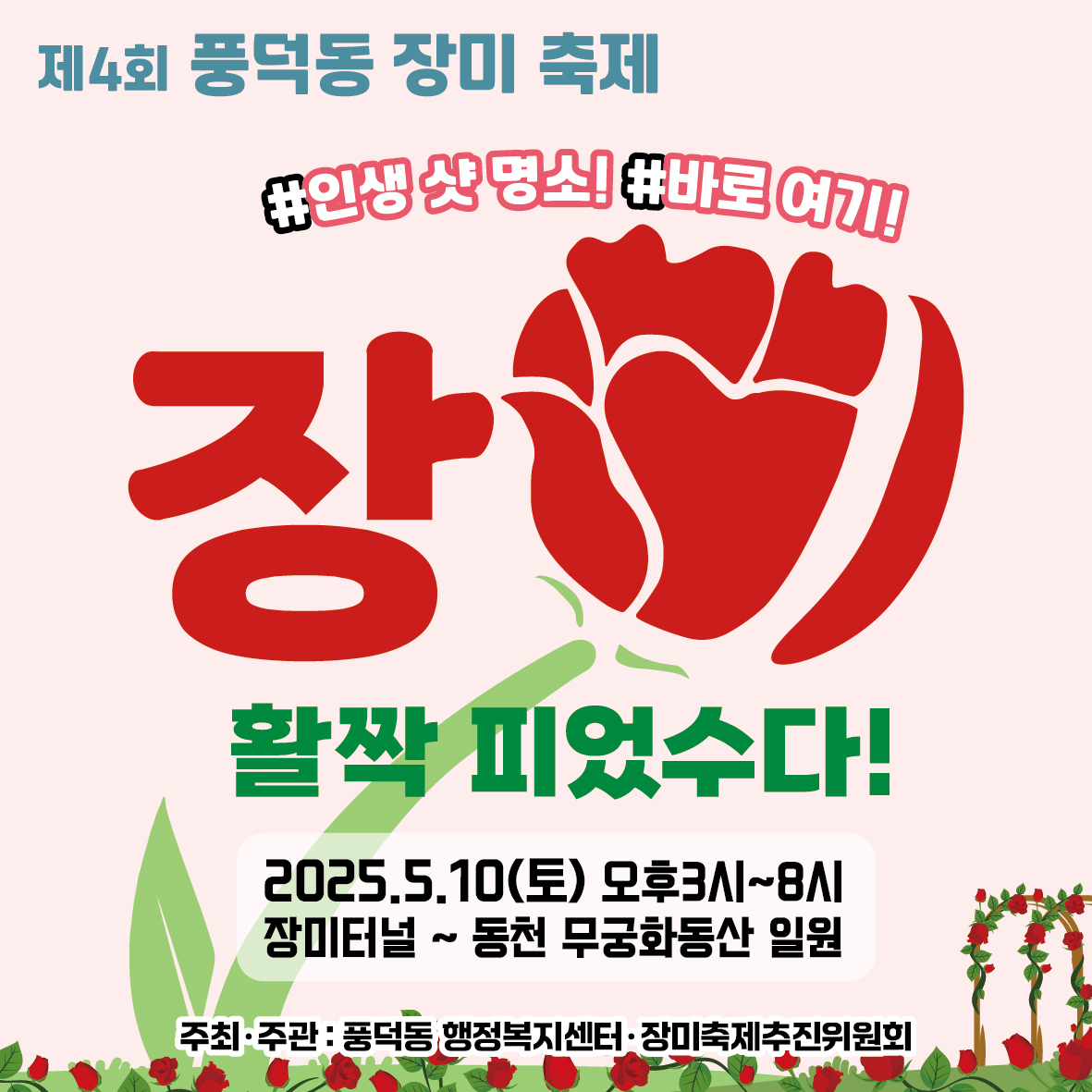 제4회 풍덕동 장미축제 인생샷 명소 바로여기 장미 활ᄍᆞᆨ피었수다 2025년 5월 10일 토 오후3시부터 8시 장미터널부터 동천 무궁화동산 일원 주최 주관 풍덕동 행정복지센터 장미축제추진위원회