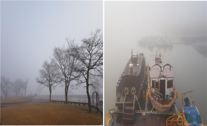 순천만습지.jpg 이미지입니다.