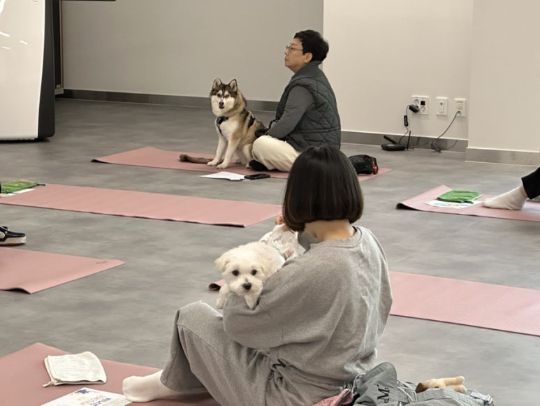 IMG_4481.jpg 이미지입니다.