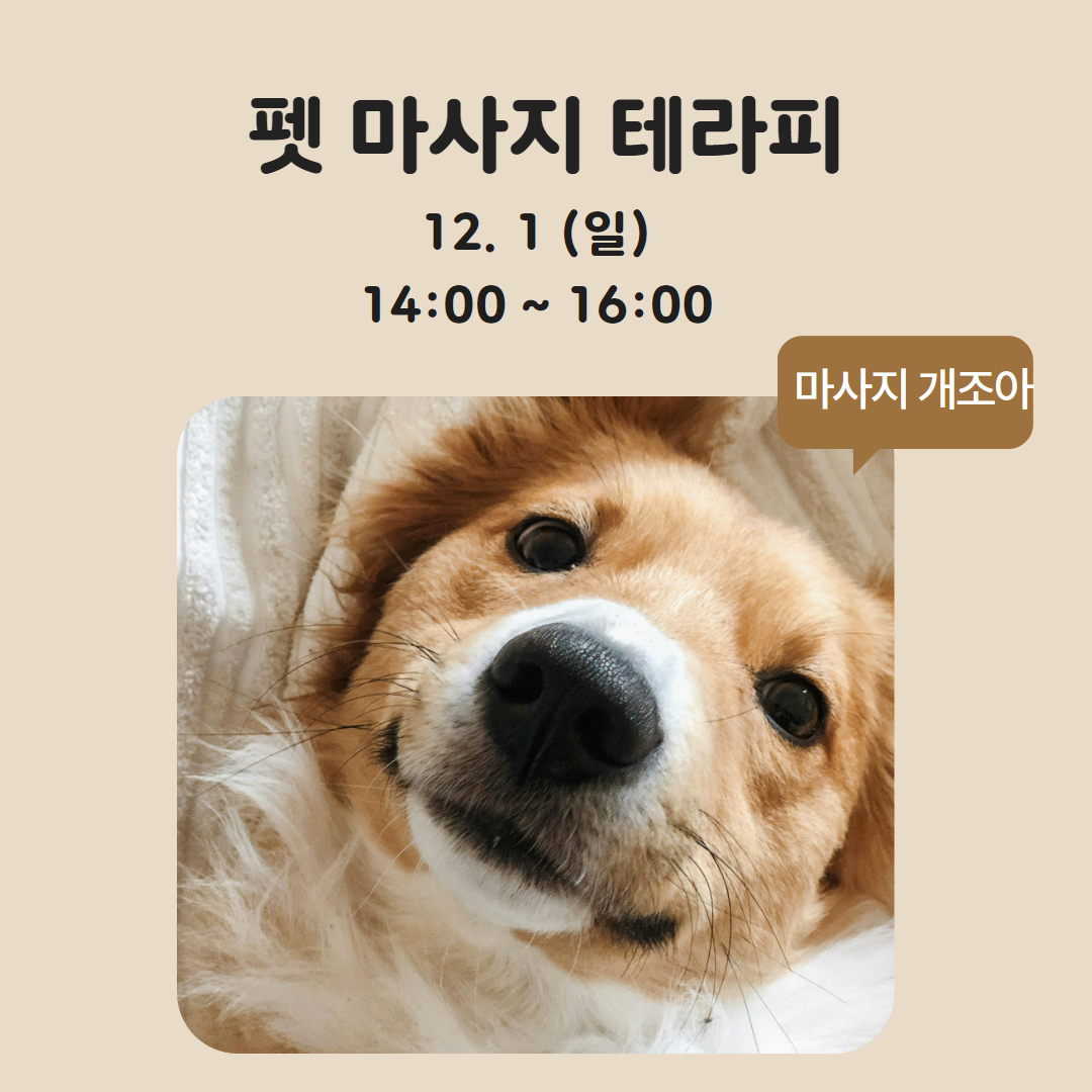 8.jpg 이미지입니다.