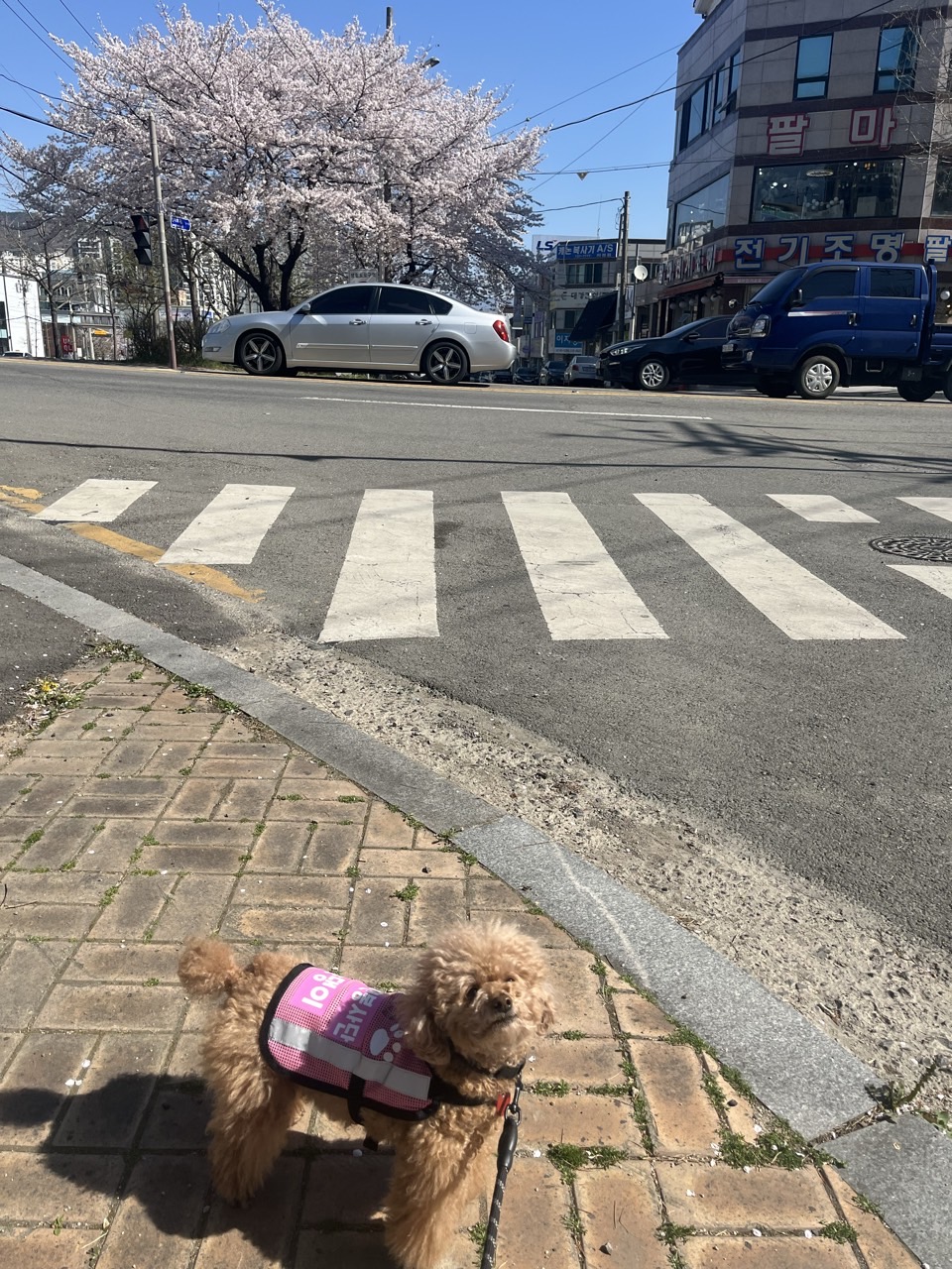 BandPhoto_2025_04_20_18_20_19_2.jpg 이미지입니다.