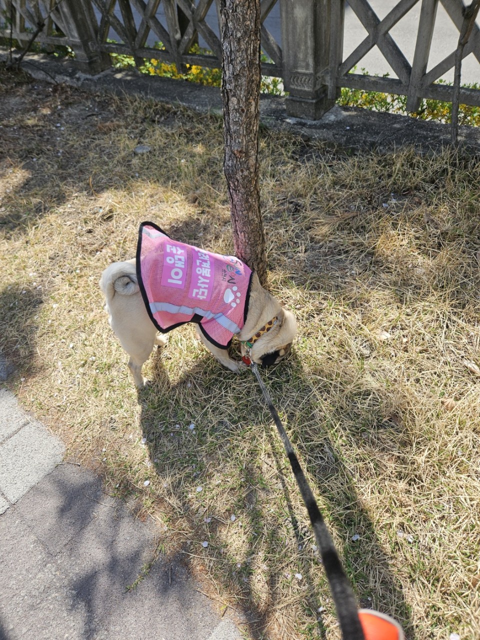 BandPhoto_2025_04_20_18_20_31_1.jpg 이미지입니다.