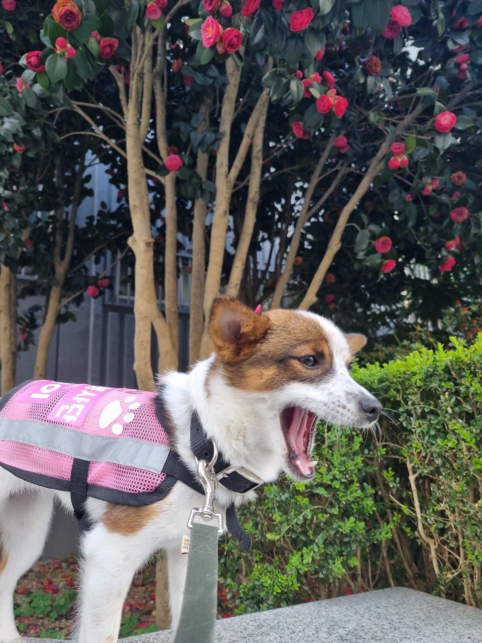 BandPhoto_2025_04_20_18_20_43_5.jpg 이미지입니다.