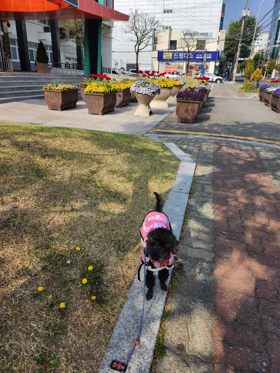 BandPhoto_2025_04_20_18_21_08_4.jpg 이미지입니다.