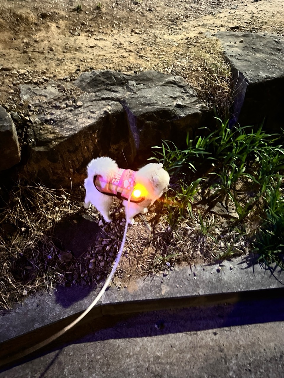 BandPhoto_2025_04_20_18_21_17_1.jpg 이미지입니다.