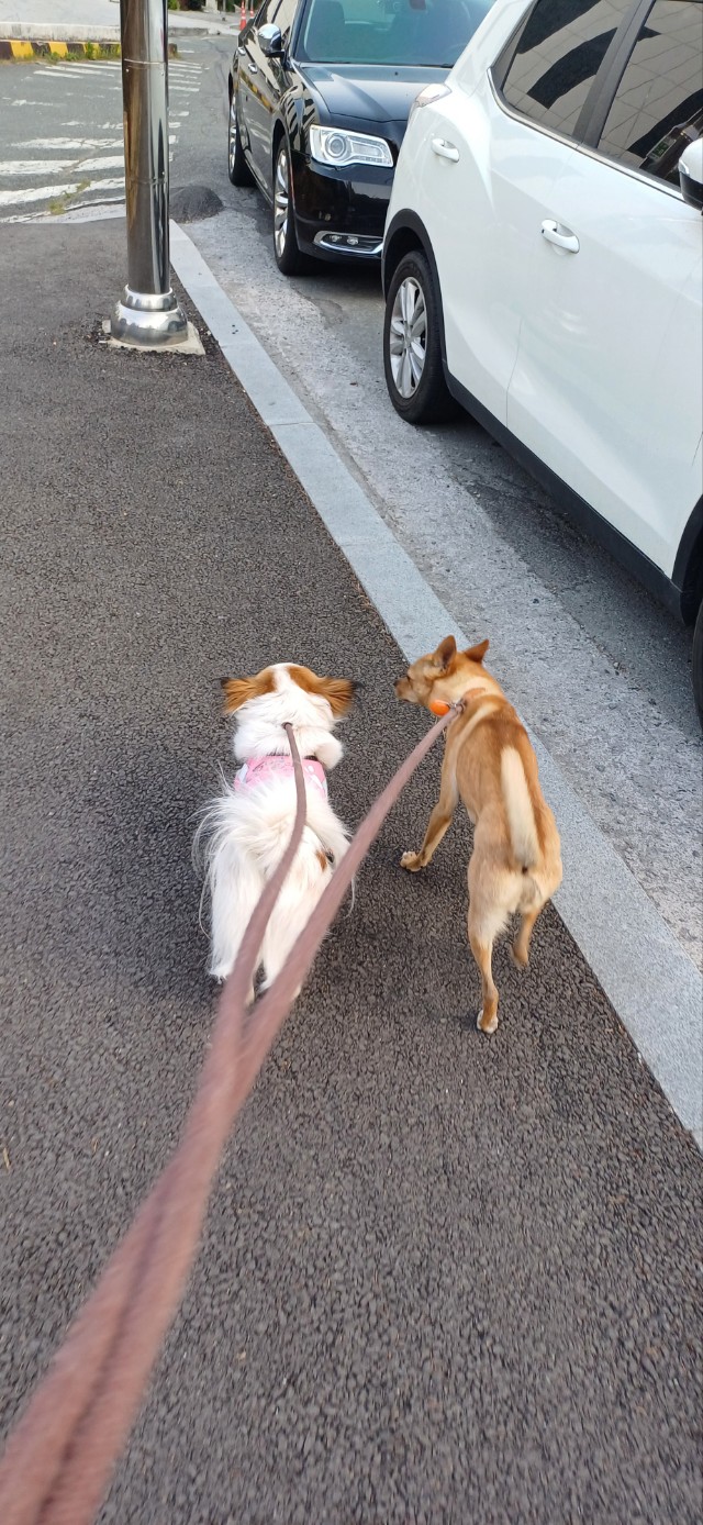 BandPhoto_2025_04_20_18_21_28_2.jpg 이미지입니다.