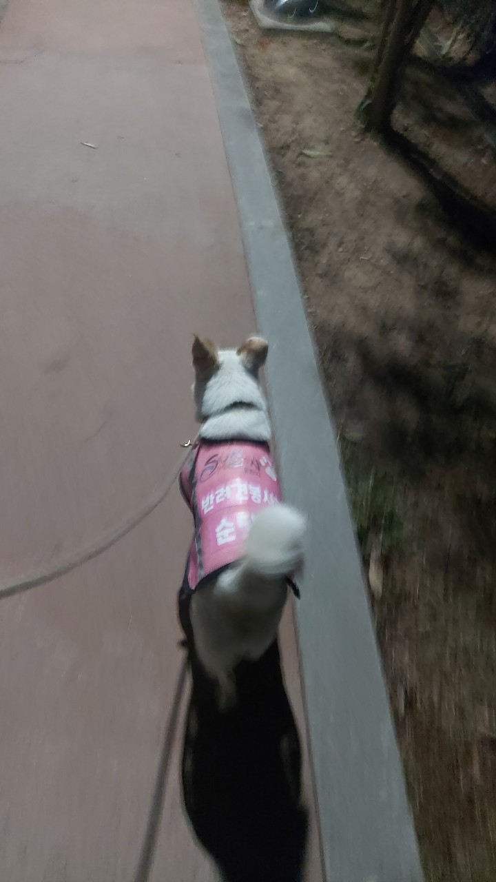 BandPhoto_2025_04_20_18_21_39_1.jpg 이미지입니다.