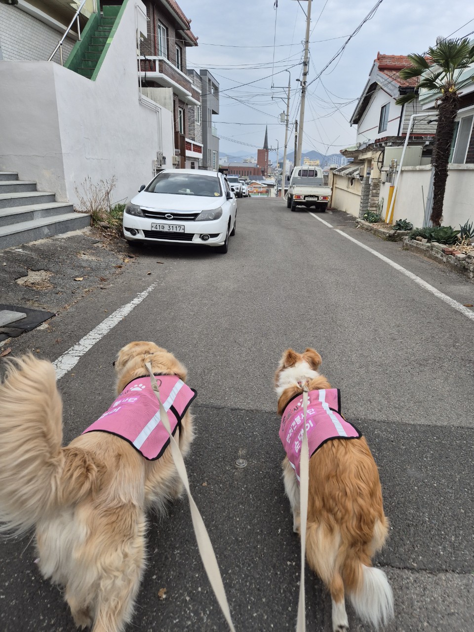 BandPhoto_2025_04_20_18_20_57_1.jpg 이미지입니다.