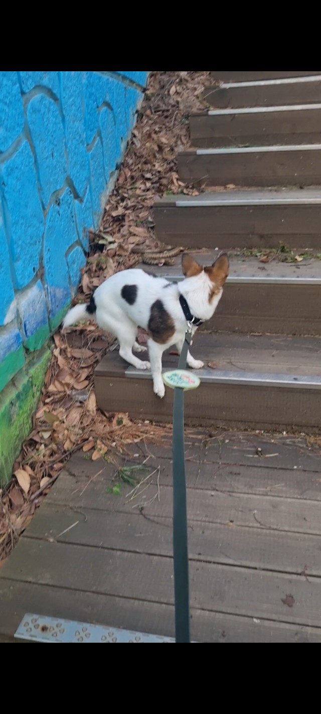 BandPhoto_2025_04_20_18_22_24_1.jpg 이미지입니다.