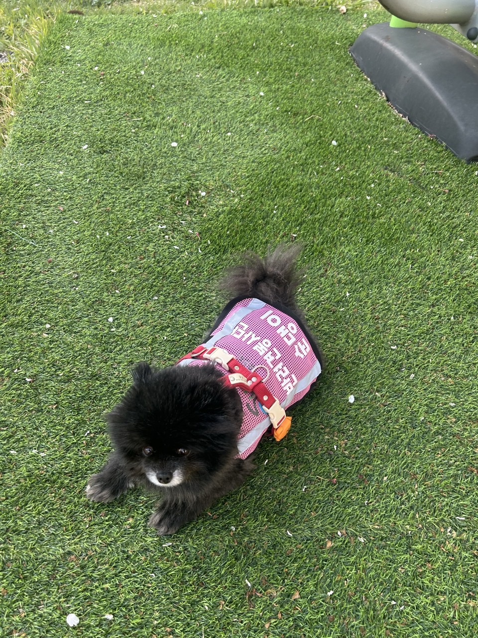 BandPhoto_2025_04_20_18_22_33_2.jpg 이미지입니다.