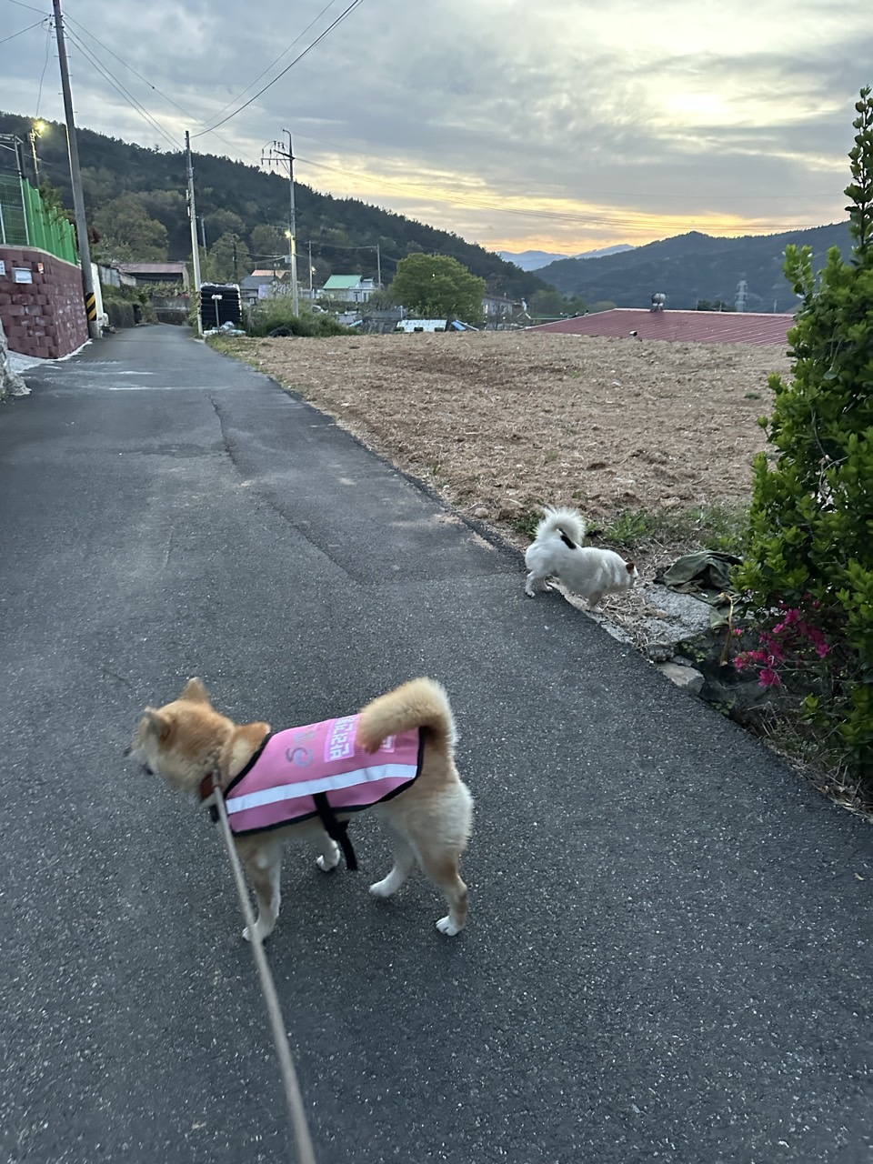 BandPhoto_2025_04_20_18_22_52_3.jpg 이미지입니다.