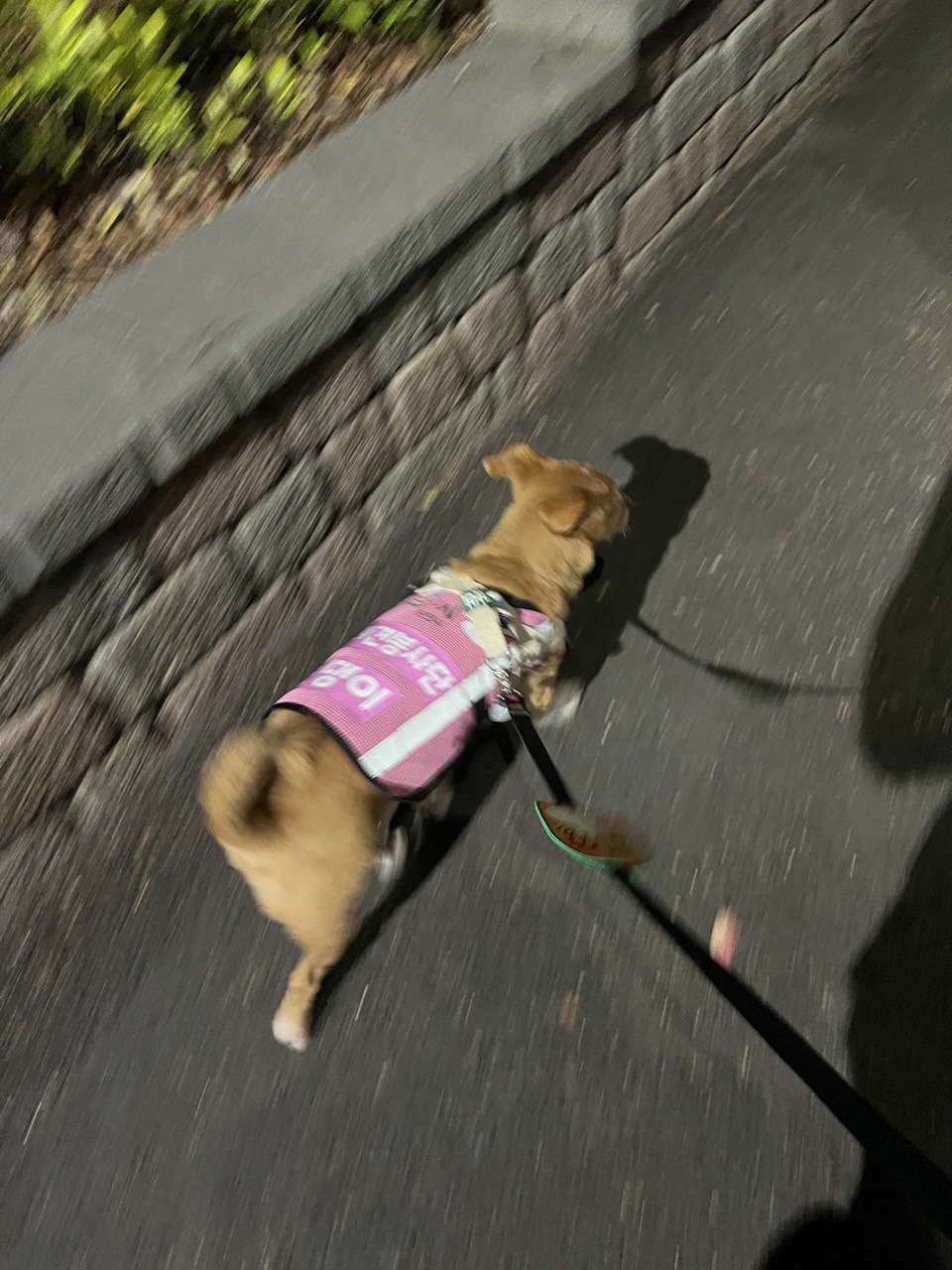 BandPhoto_2025_04_20_18_23_14_2.jpg 이미지입니다.