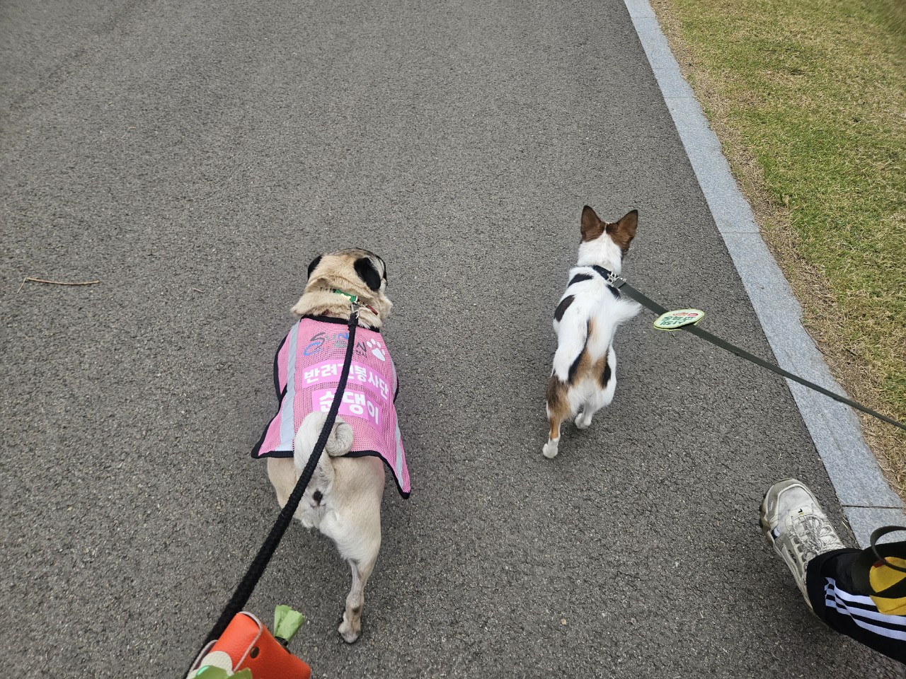 BandPhoto_2025_04_20_18_23_24_1.jpg 이미지입니다.