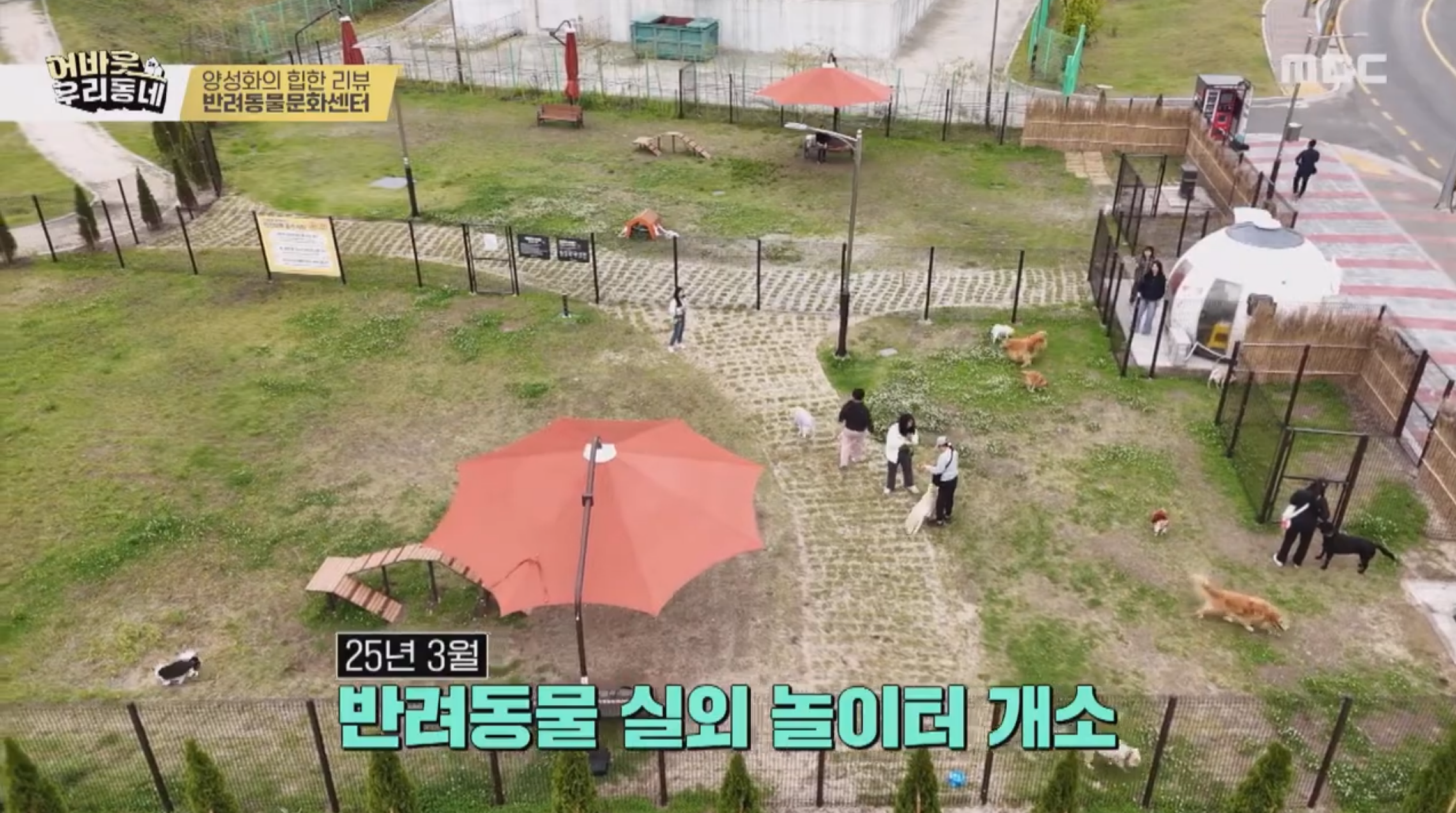 사본 -1747273218844-9.png 이미지입니다.