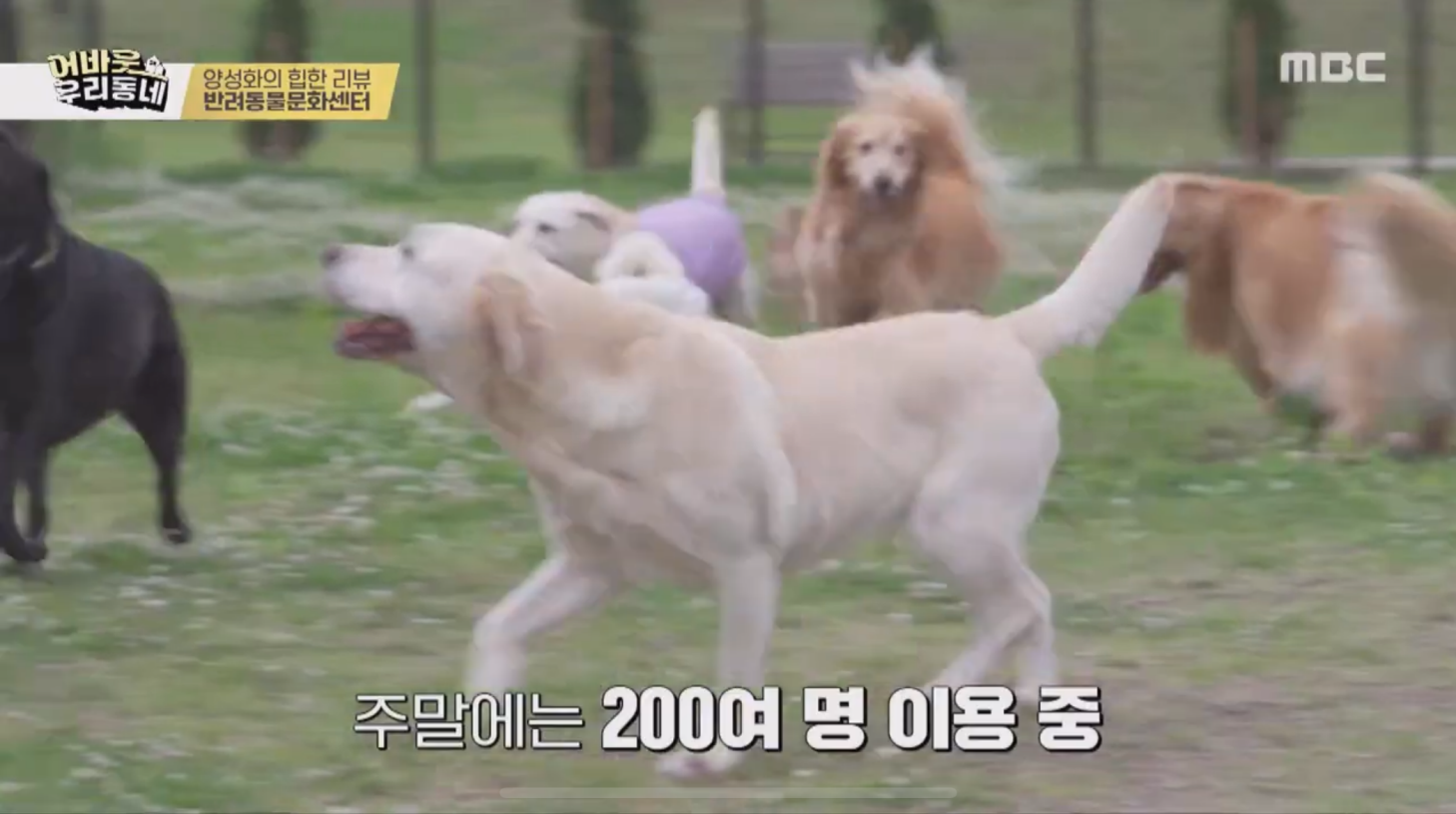 사본 -1747273523223.png 이미지입니다.