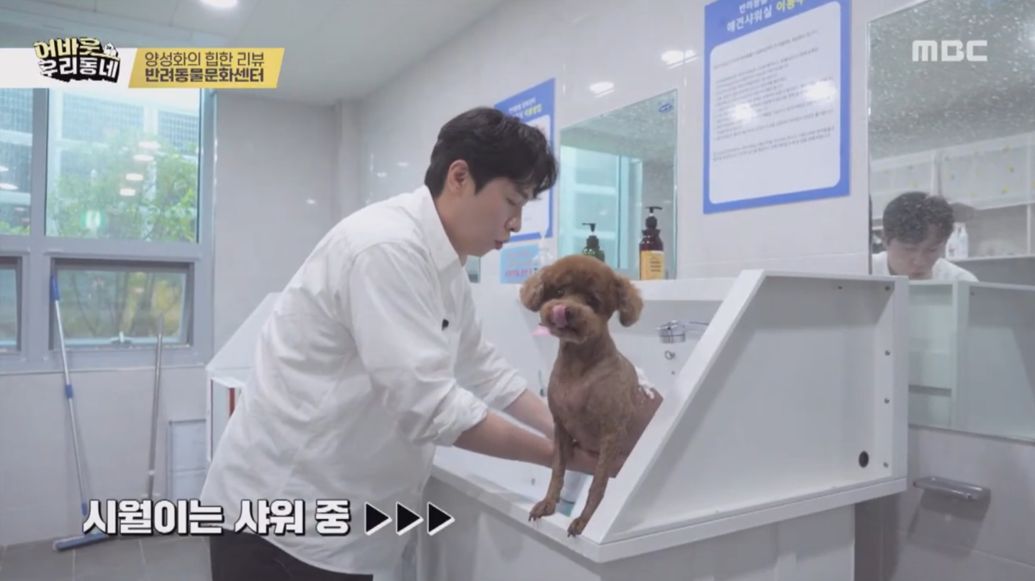 사본 -1747273218844-5.png 이미지입니다.