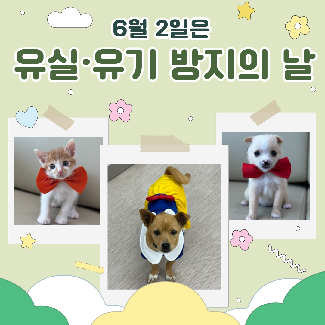 유기유실 1.jpg 이미지입니다.