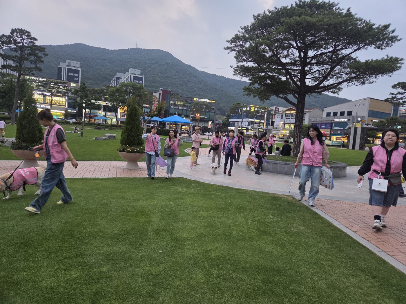 1748740403824.jpg 이미지입니다.