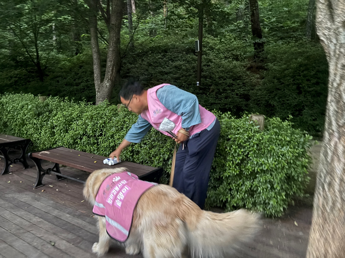 1748996504194.jpg 이미지입니다.