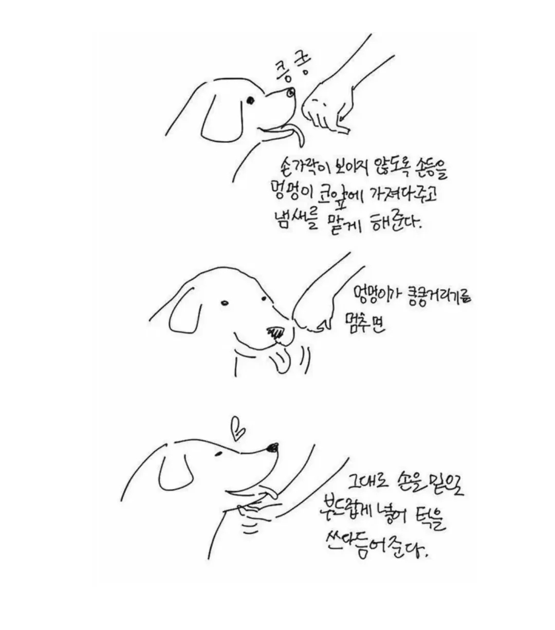 202506101419260009.jpg 이미지입니다.