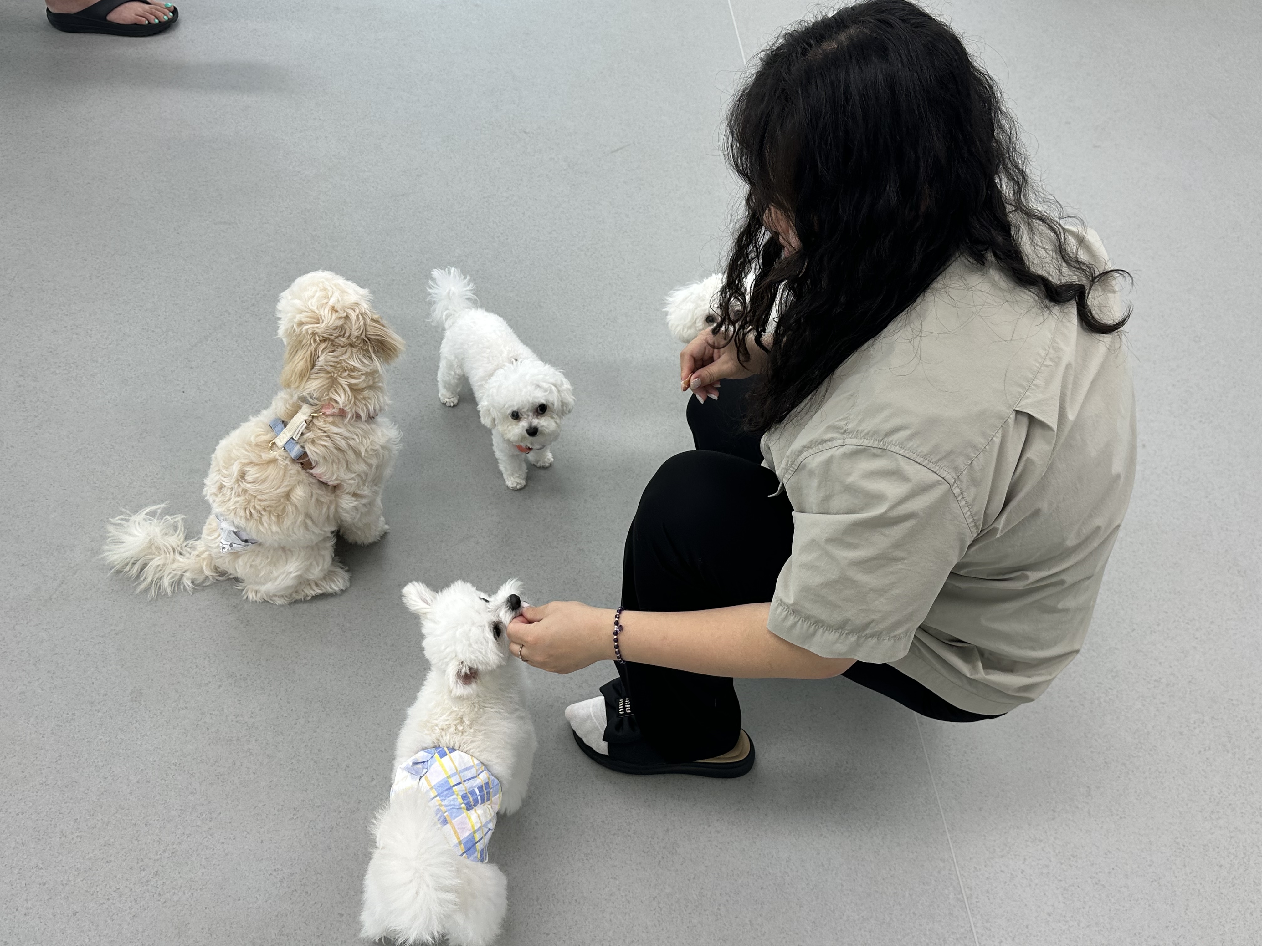 202508211022170009.jpg 이미지입니다.