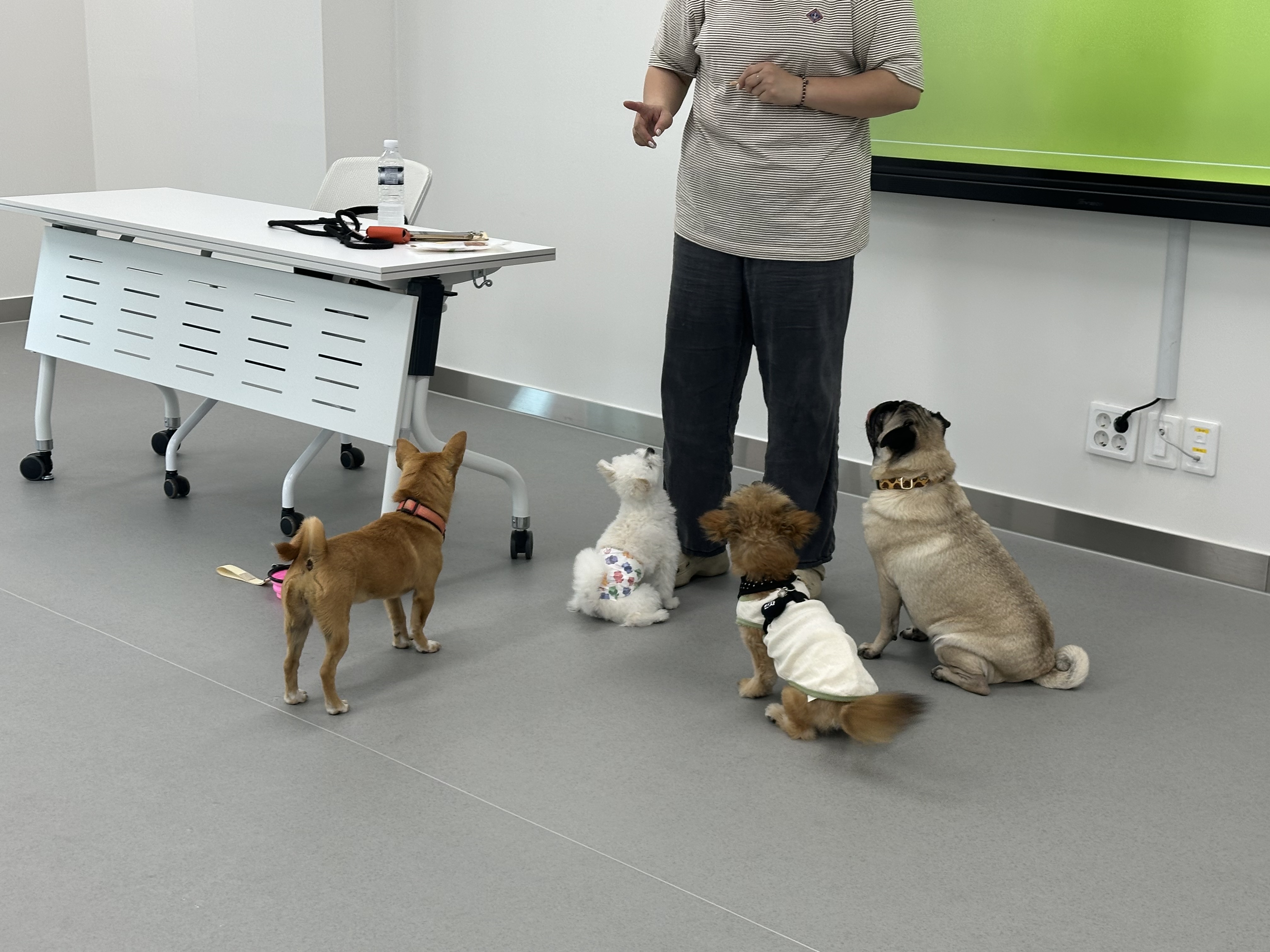 202508211022290009.jpg 이미지입니다.