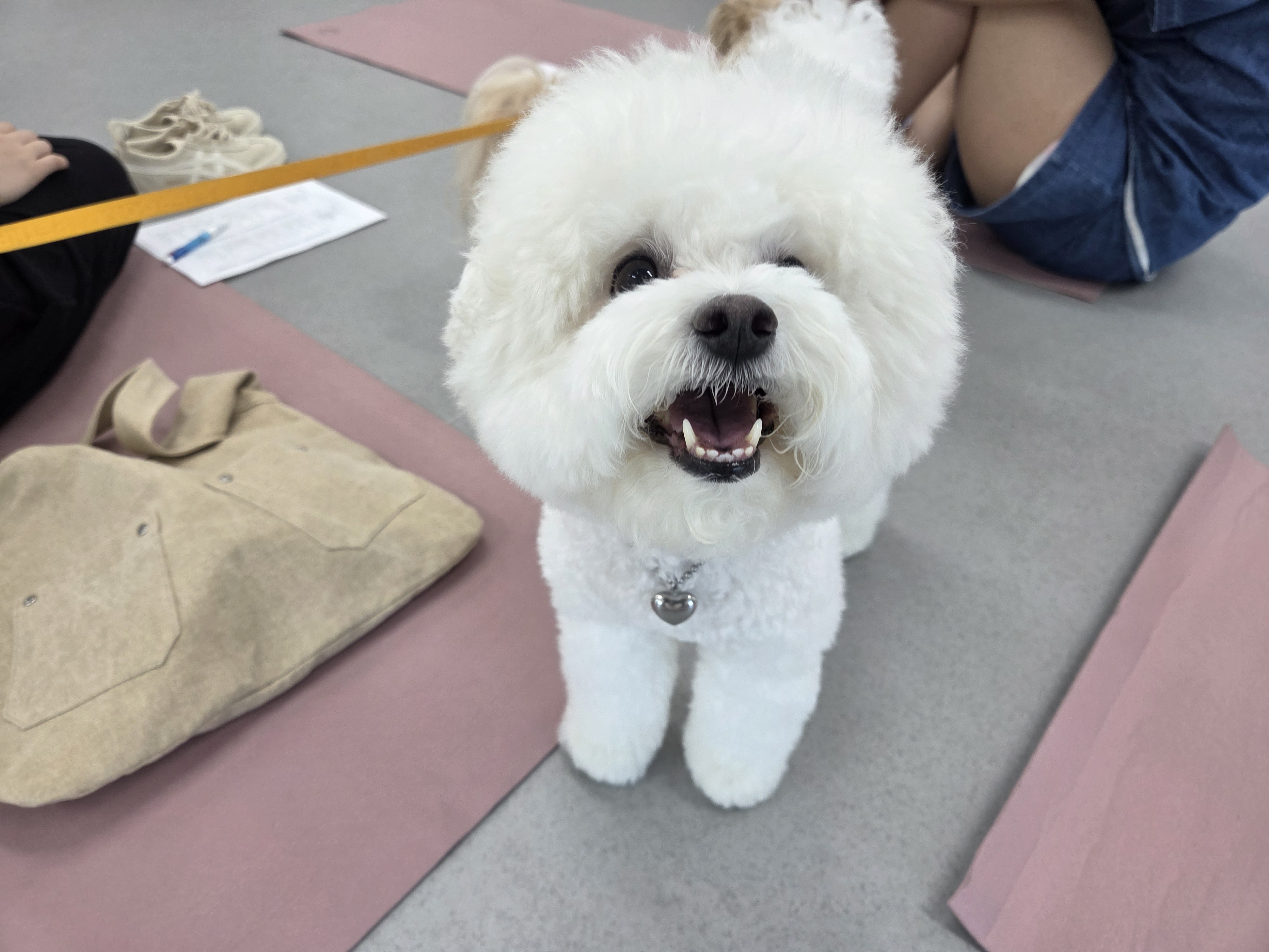 202508261742580009.jpg 이미지입니다.