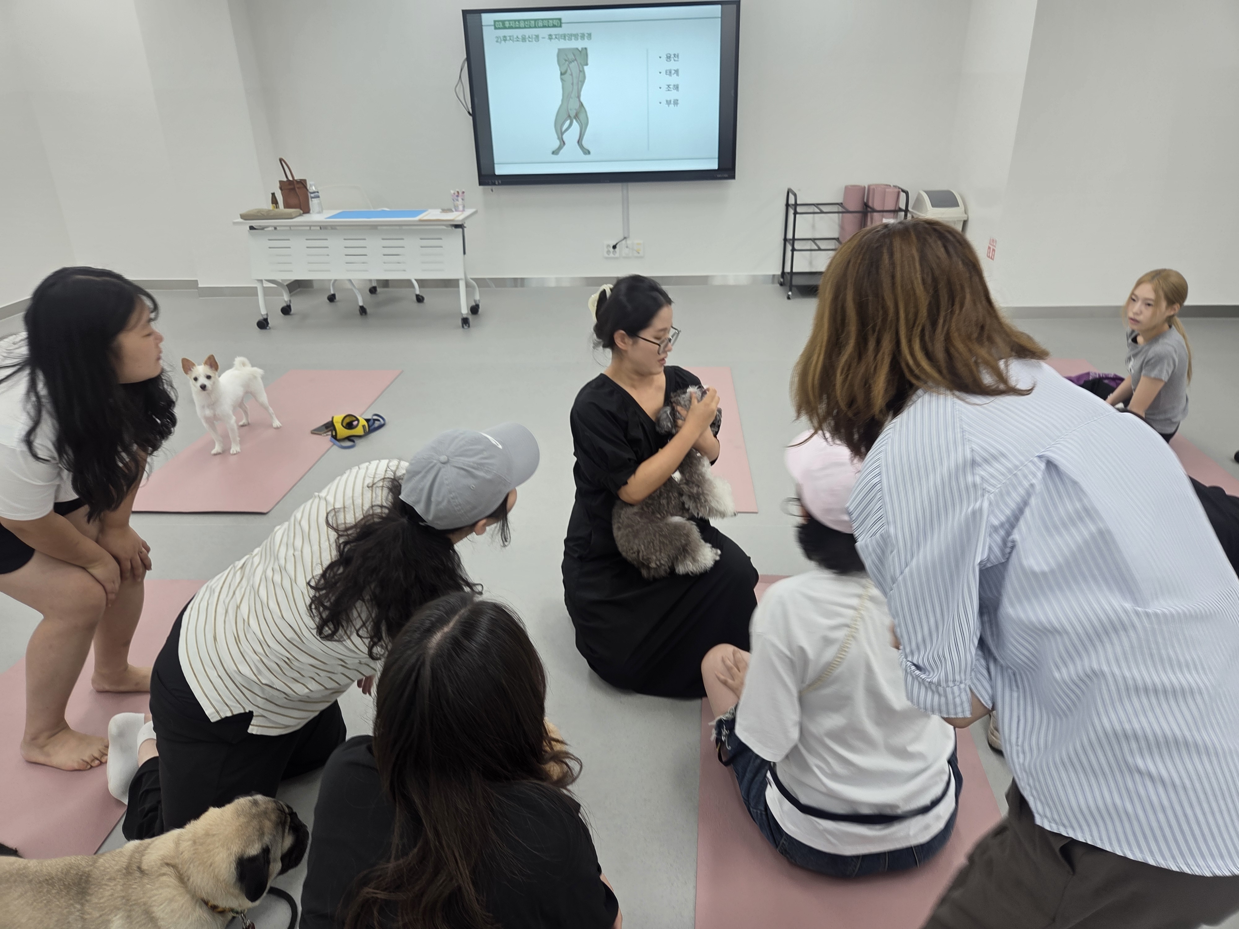 202508270912340009.jpg 이미지입니다.