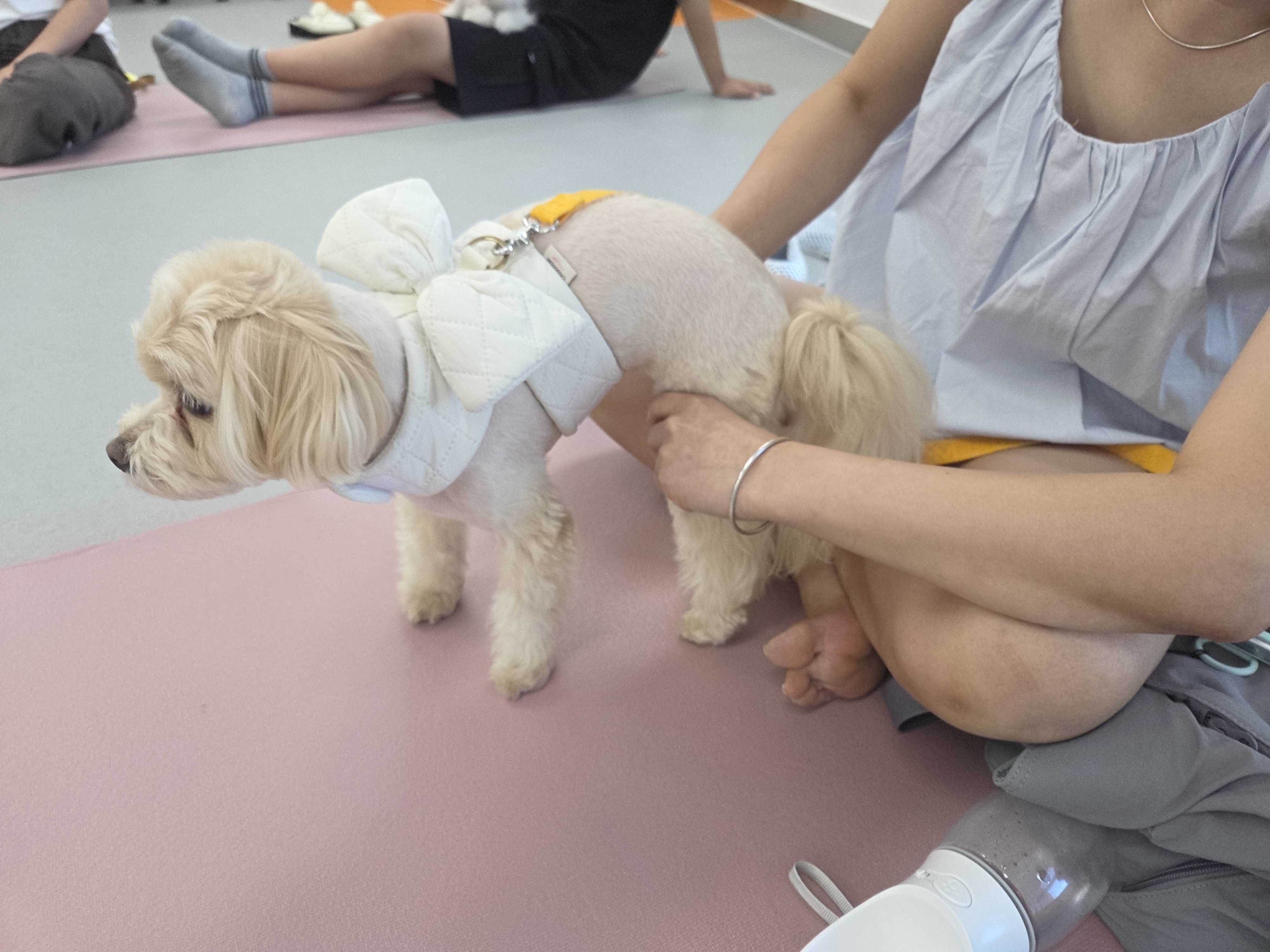 202508270913240009.jpg 이미지입니다.