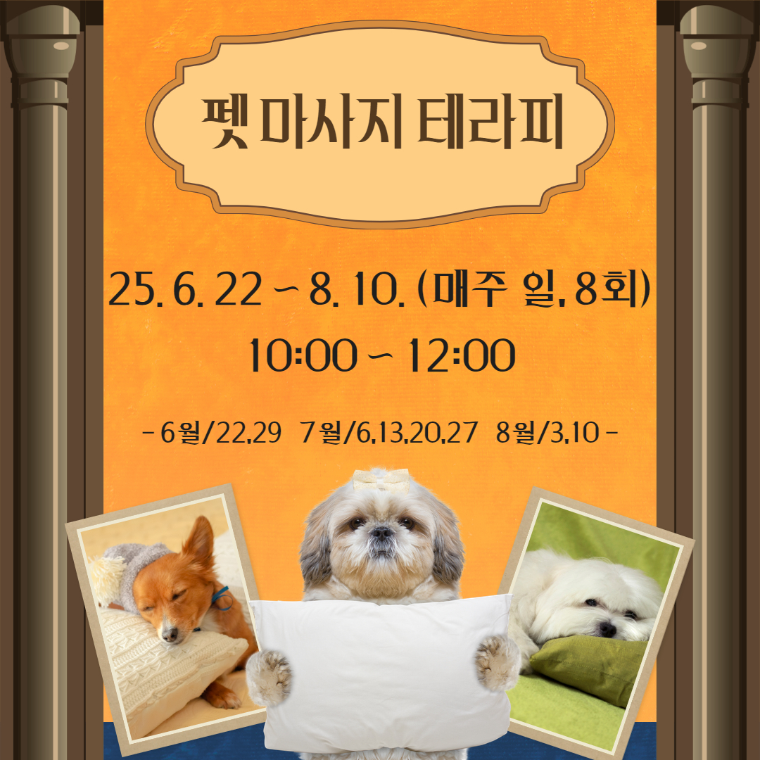 멍냥2 13.jpg 이미지입니다.