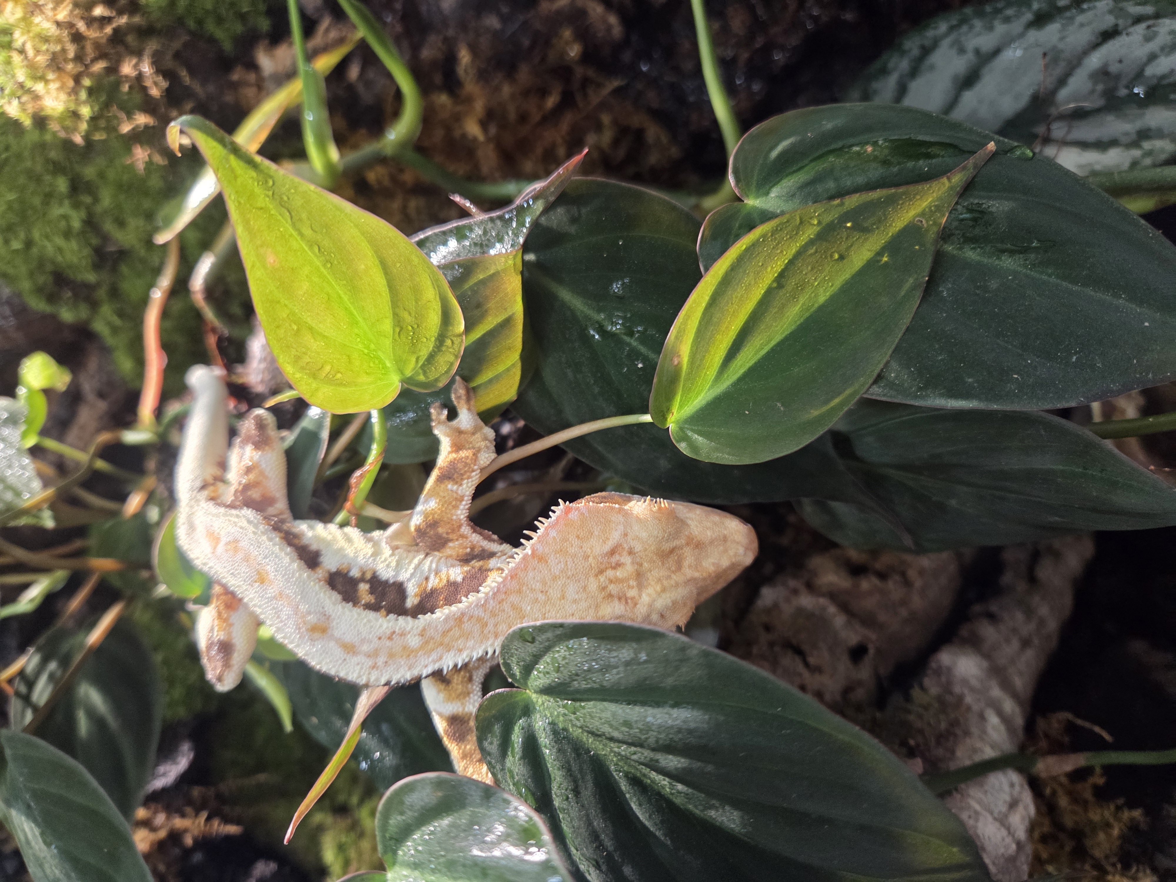 20251116_085043.jpg 이미지입니다.