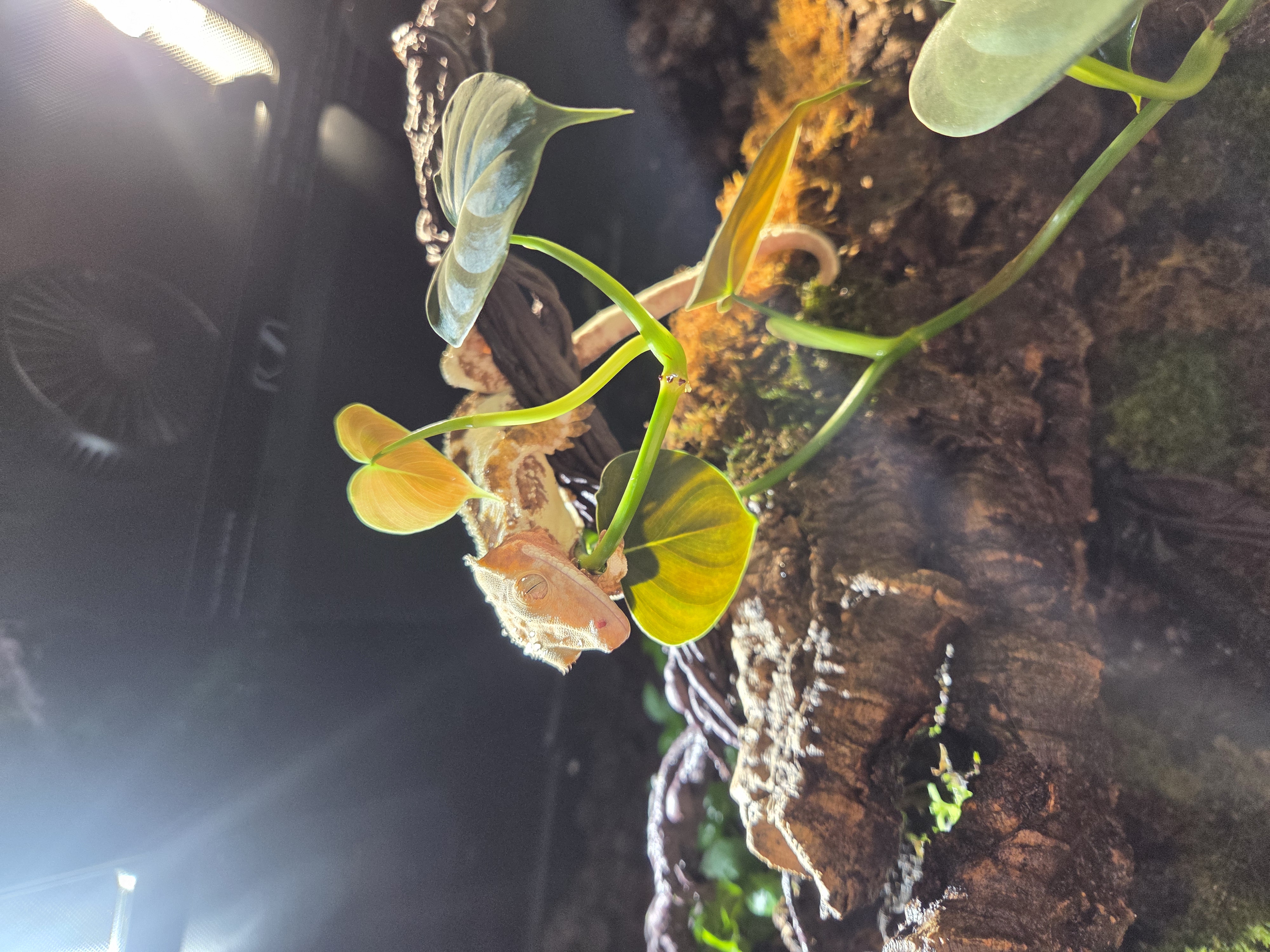 202512031018410009.jpg 이미지입니다.