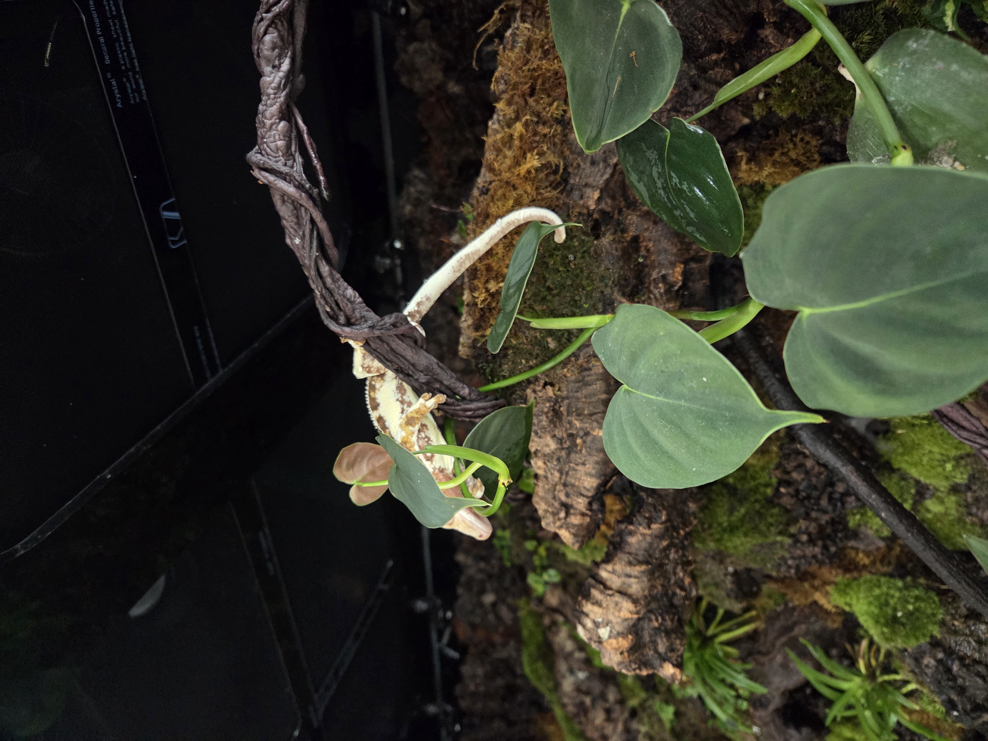 202512031019210009.jpg 이미지입니다.