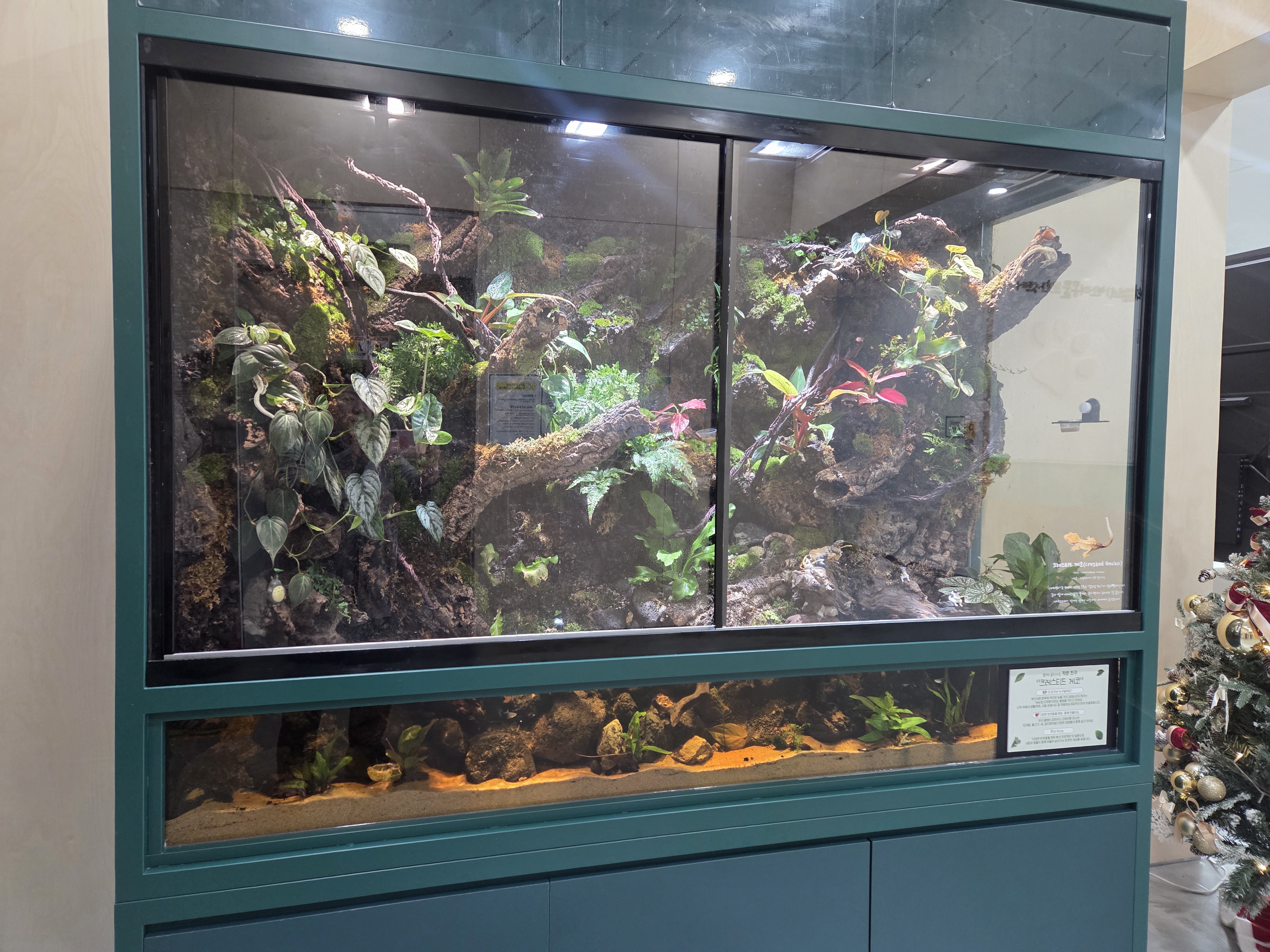 202512031018510009.jpg 이미지입니다.