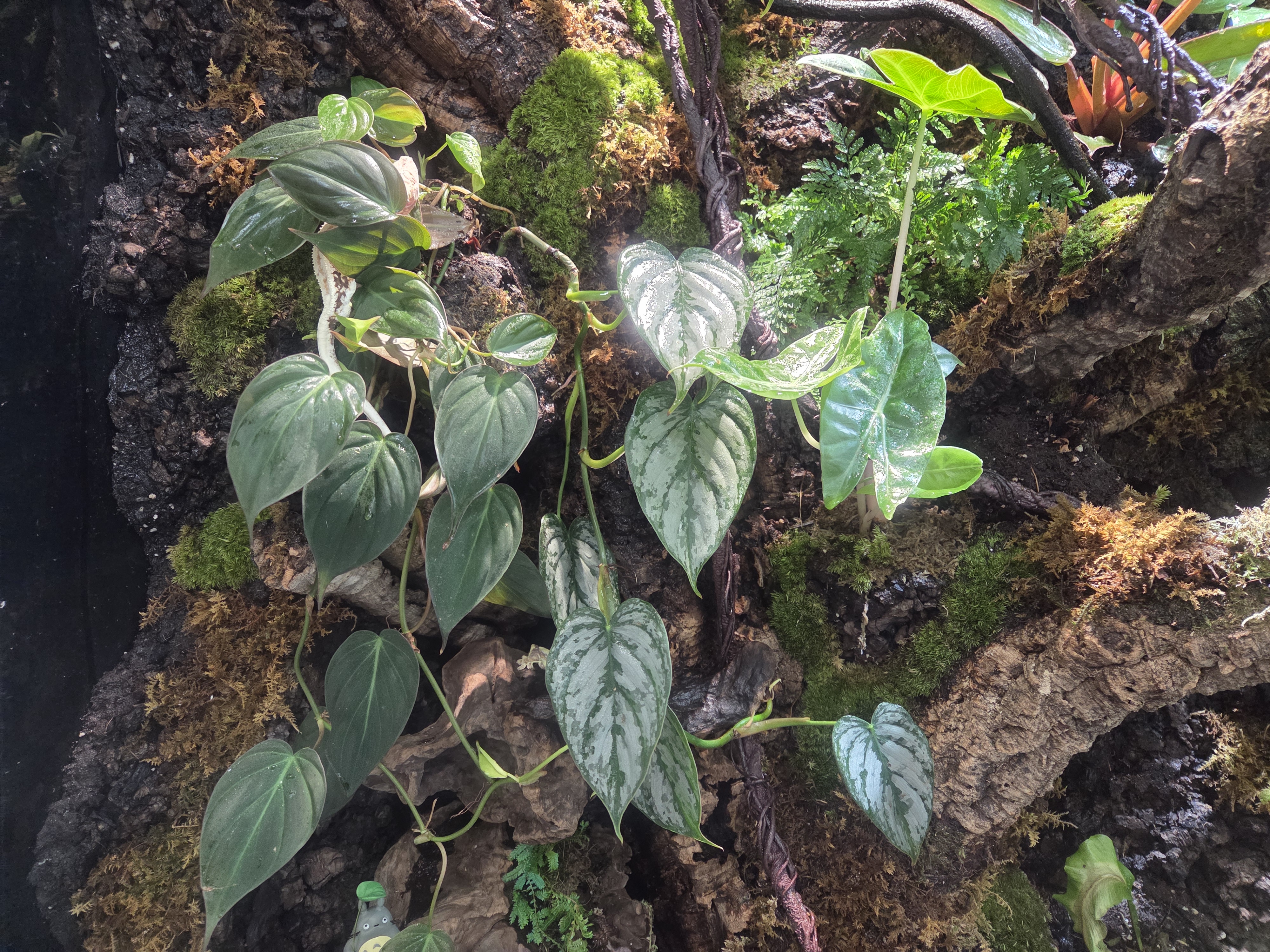 202512031018570009.jpg 이미지입니다.