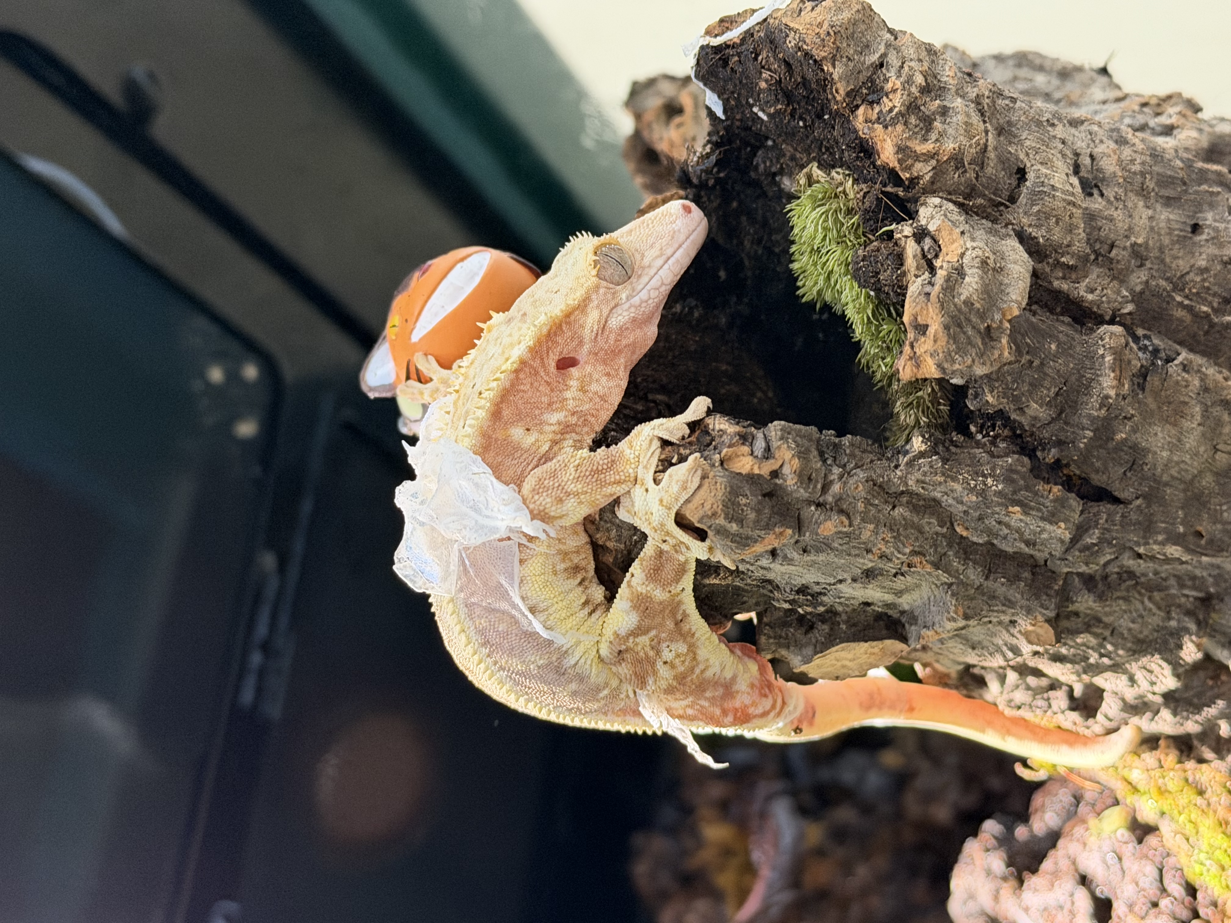 1764723675378.jpg 이미지입니다.