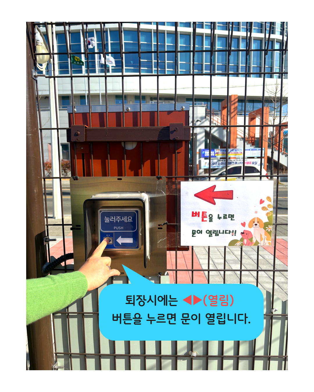 펫패스인스타용 11.png 이미지입니다.