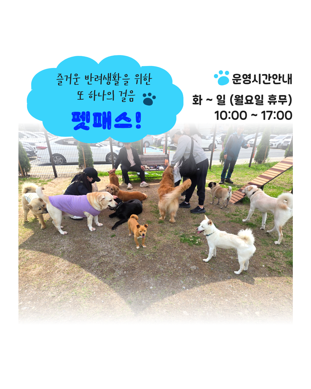 펫패스인스타용 12.png 이미지입니다.