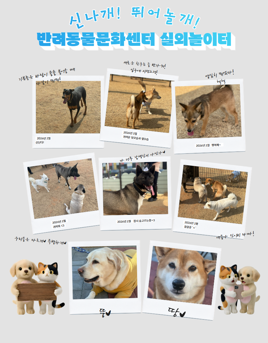 실외놀이터사진 1.png 이미지입니다.