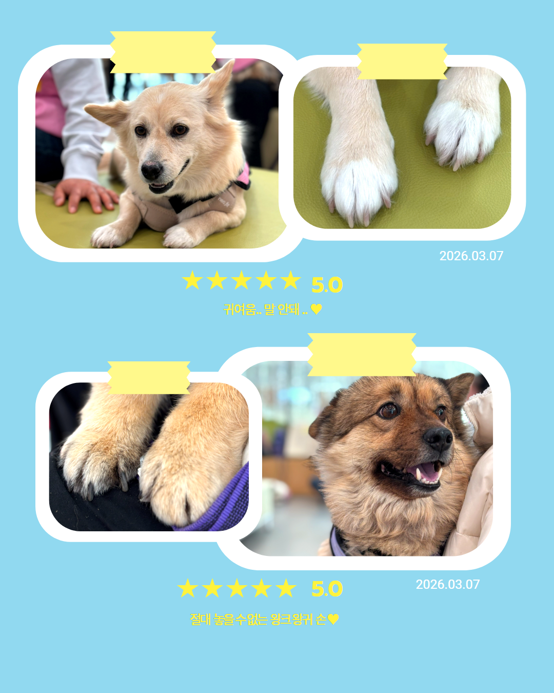 2026위촉식모음집 5.png 이미지입니다.