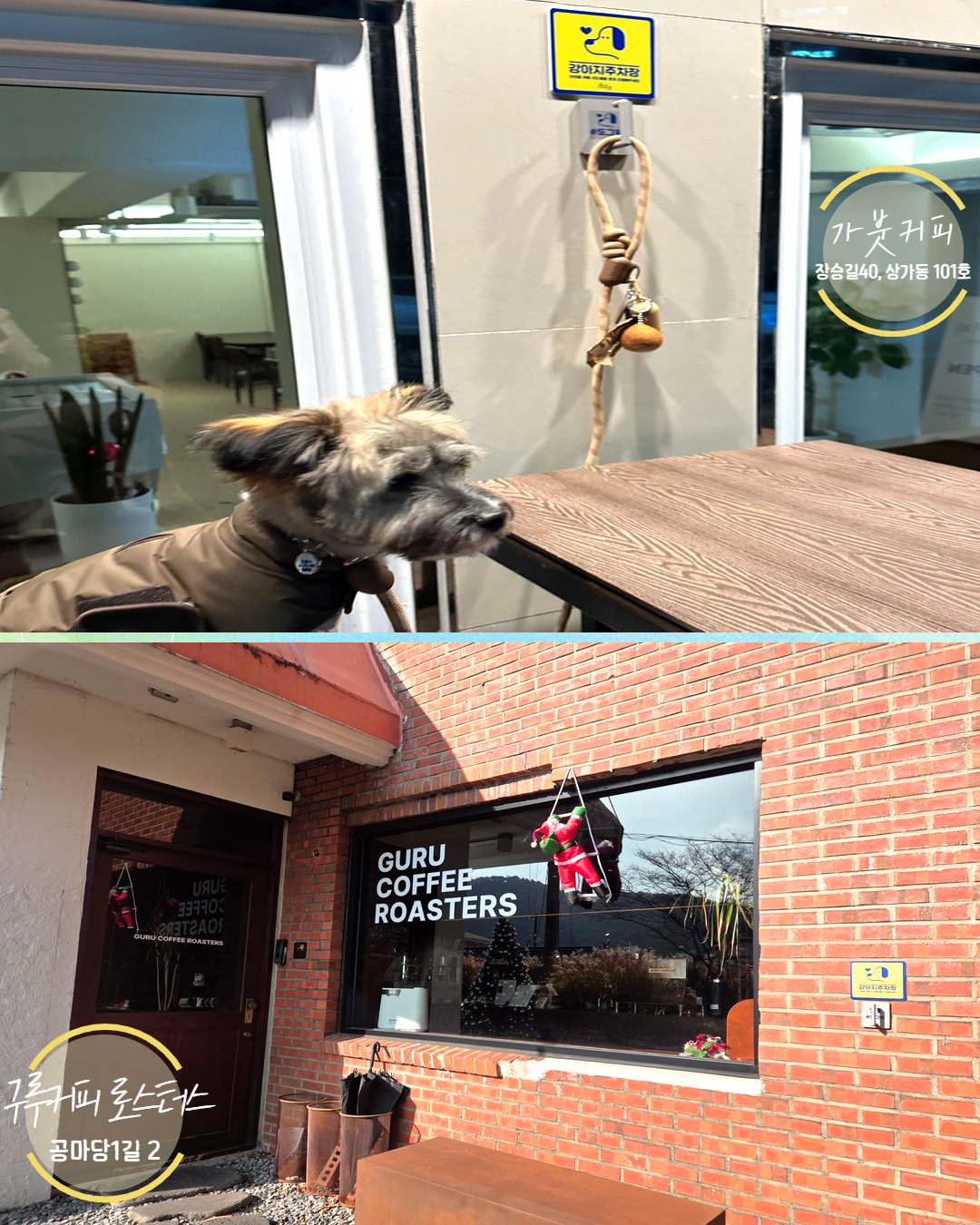 반려동물친화업소 7.png 이미지입니다.