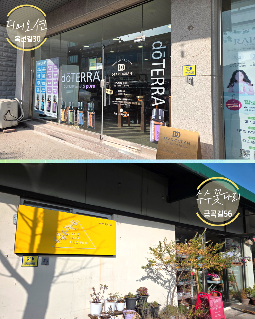 반려동물친화업소 9.png 이미지입니다.