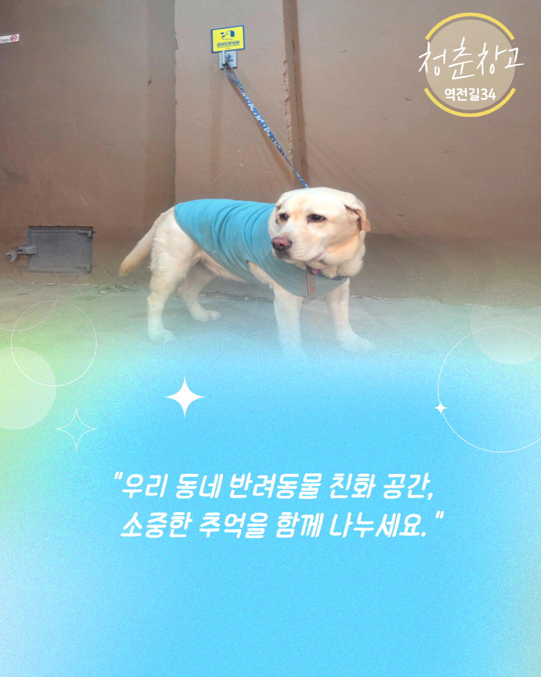 반려동물친화업소 12.png 이미지입니다.