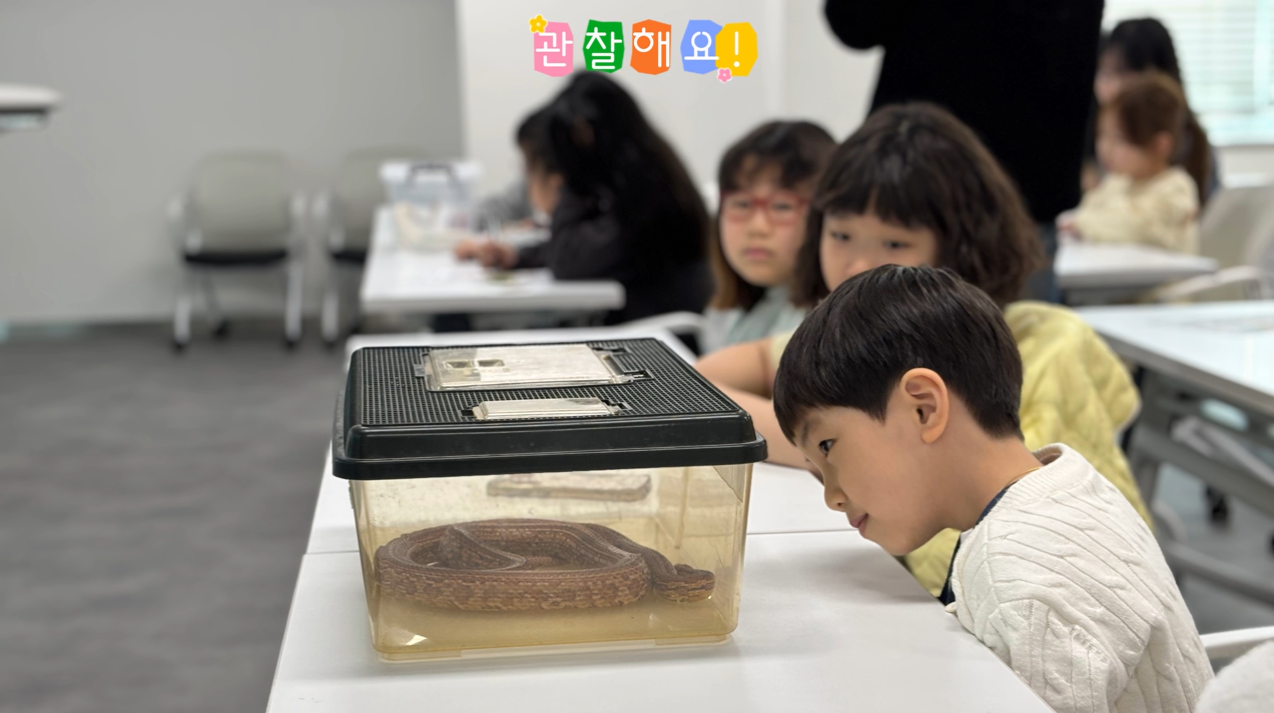 [크기변환]7.png 이미지입니다.