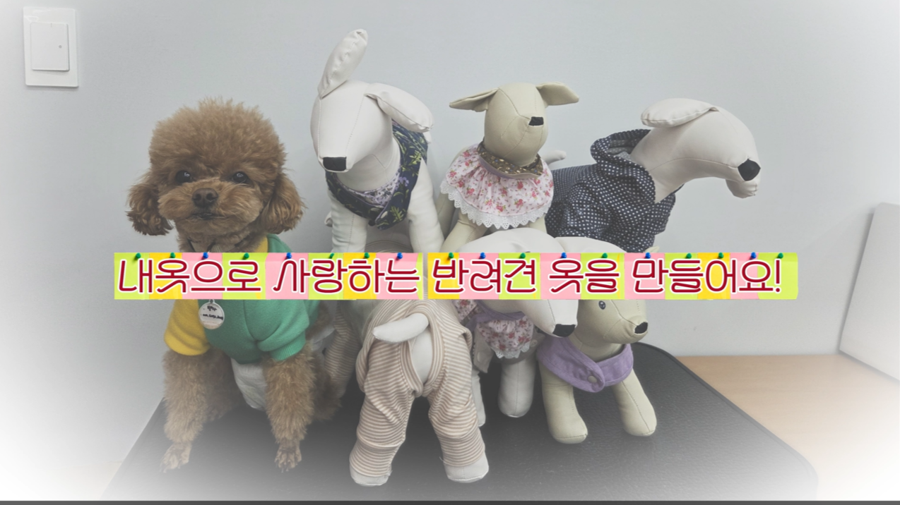 1 (1).png 이미지입니다.